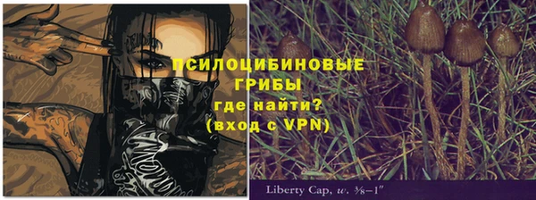 спиды Гусиноозёрск