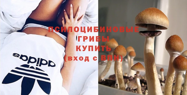 спиды Гусиноозёрск